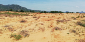 BÁN 4HA ĐẤT 2 MẶT TIỀN ĐƯỜNG QUỐC PHÒNG GẦN ĐỒNG CỪU 4.5 tỷ