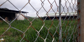 Bán trang trại đang hoạt động xã Tóc tiên thị xã Phú Mỹ