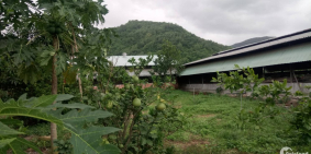 BÁN TRANG TRẠI, KHU NGHỈ DƯỠNG GẦN CẢNG CÁI MÉP, TX PHÚ MỸ