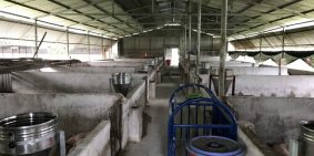 GIA ĐÌNH ĐI NƯỚC NGOÀI ĐỊNH CƯ NÊN CẦN BÁN TRANG TRẠI CHĂN NUÔI GẦN CẢNG CÁI MÉP