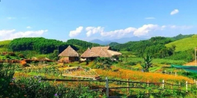 Đất Trang trại sinh thái kinh doanh homestay Hồ Tràm-Bình Châu