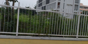 Cần cho thuê mặt bằng diện tích lớn tại Trung tâm cẩm lệ