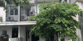 Chính chủ cho thuê biệt thự nhà vườn tại KĐT Parkcity, Hà Đông.