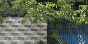 Cho thuê nhà hẻm 117 Nguyễn hữu cảnh, p.22, Bình Thạnh