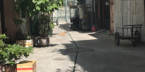 Cho thuê nhà hẻm một sẹc Lò Siêu, P. 16, Q. 11, DT 3.5x10m, lầu đúc,  Giá 11tr