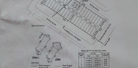 Bán căn hộ chung cư Chợ hoa Đầm Sen Q11