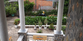 bán biệt thự vườn 2000m2 tại huyện tân phước