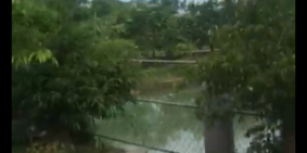 Biệt thự Tân Xã 954m , cách khu CNC Hòa Lạc 800m chỉ 6.4 tỷ