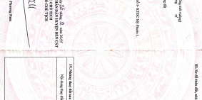 NHÀ PHỐ SIÊU ĐẸP NGAY KHU DÂN CƯ ĐÔNG ĐÚC MỸ PHƯỚC 1