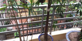 Bán nhà Linh Lang 51mx4tầngxMT3,2m,Nhà đẹp 8tỷ.Ôtô cửa