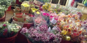 Thế giới HOA MT Hồ Thị Kỷ kinh doanh Q10 dt 65m2, 2 lầu, 3pn.