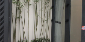 Xe Hơi đỗ cửa Thống Nhất Gò Vấp dt 55m2, 3 Lầu, giá 4.8 tỷ.