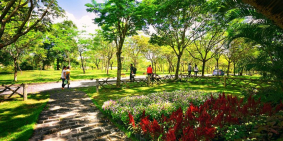 - Mở Bán 50 Căn Biệt Thự Giang Điền ,Giá Siêu rẻ Dành Cho Nhà Đầu tư