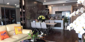 Cho thuê căn hộ Sunrise City giá rẻ, quận 7