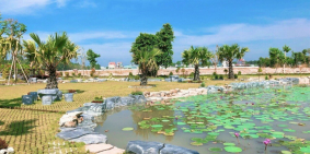 Đất ngay trung tâm hành chính thị xã Bến Cát chỉ 630tr tại sao bạn còn do dự?