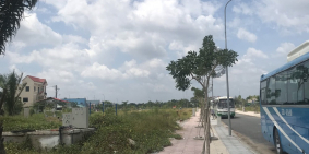 BÁN 5 LÔ ĐẤT LIỀN KỀ, SÁT BÊN CÂY XĂNG DẦU TÂN LÂN, 350 TRIỆU/100M2