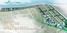 ??? ???????? ???? ??̣ ????  Ra Hàng PHÂN KHU PALM