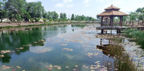 Bán đất tại dự án An Hạ Lotus, Bình Chánh, TP Hồ Chí Minh