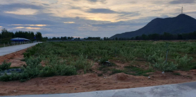 SIÊU DỰ ÁN BLUE GARDEN CẠNH SÂN BAY QUỐC TẾ PHAN THIẾT - DT 1000M2 - CÓ SỔ SẴN