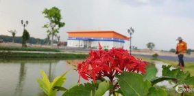 bán đất sổ riêng giá rẻ ngay chợ Bến Cát , Bình Dương .