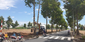 Đất dự án sạch nhất Cần Thơ, một lựa chọn hợp lý vào thời điểm thị trường bão hò