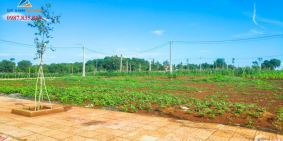 Cần bán gấp lô đất liền kề chợ Võ Thị Sáu dân cư đông đúc trung tâm Tp. Buôn Ma