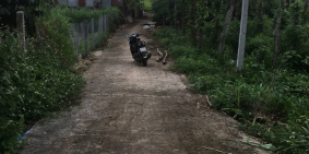 Bán Đất Quốc Lộ 14, Hòa Khánh, Buôn Ma Thuột Diện Tích 6x30 Giá 420 Triệu