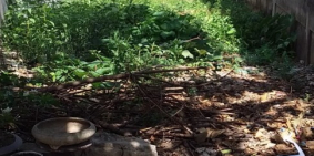 Bán đất giá rẻ ngay trung tâm TP Đông Hà