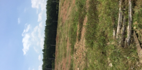 Bán đất nền dự án khu vực thành phố mới đồng xoài