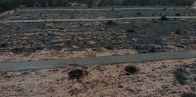 Đất nền sinh thái Sân Bay Phan Thiết, chỉ 570 triệu/1000m2