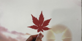 Chính chủ bán đất nền dự án khu dân cư BonChen b/chánh 100m2 giá 9.2 tr/m2 shr