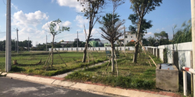 Khách cũ kẹt tiền bán lại 3 lô đất , sổ hồng riêng , xã phong phú 5 bình chánh