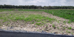 Bán đất mặt tiền đường Cây Trôm Mỹ Khánh,500m vuông,giá 1,5 tỉ.