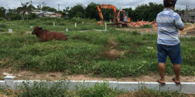 Tôi kẹt tiền ! Bán gấp nền 22×17 Tân An Hội Củ Chi SHR/500triệu