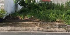 Đất Huyện Hóc Môn 100m², SHR, Đường Lê Lợi_ Hóc Môn