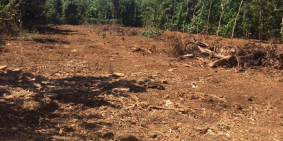 Bán nhanh lô đất Hẻm QL 26 280m2 giá 320tr 0943798692 (Quỳnh Anh)