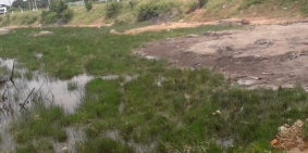 Chủ kẹt tiền cần bán 1173m, xã phước khánh. Giá 7tr250/m.