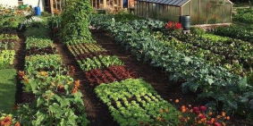 bán đất có sổ pháp lý đầy đủ 950m2 mặt tiền đường Lê Hồng Phong