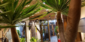 Cần bán gấp căn nhà phố mặt tiền Phạm Văn Đồng Chính chủ thổ cư đất ở lâu dài .