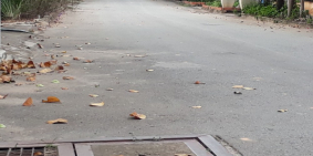 Bán Đất Đường Hồ Văn Cống 188m2 ( giá đầu tư ) ( hình thật 100%)