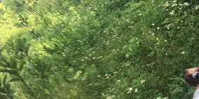 100m2 Đất nằm giap khu quy hoạch du lịch sinh thái Phật Tích