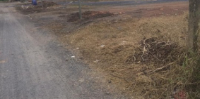 bán đất giá rẻ, có sổ hổng, vị trí đẹp