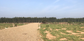 Chính chủ cần ra đi lô đất 1000m2 (  30% thổ cư) 550tr