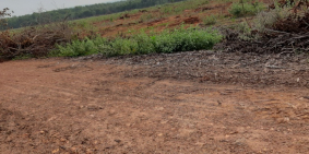 Cơ hội " Vàng " cho các nhà đầu tư khi đến với Phan Thiết.