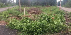 Đất 2 mặt tiền đường tam tân,xã thái mỹ, củ chi, shr, giá 1ty300