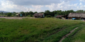 Chính Chủ. Đất Nông Nghiệp Có Đường Vào Cần Bán Gấp Giá 4.5Tr/m2