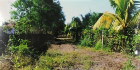 Bán đất Long Thành, gần dự án sân bay