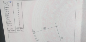 Cần bán gấp đất tại xã Xuân Thành