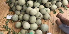 Mua đất Bình Châu tặng chuyến du lịch Thái Lan 6 ngày chỉ với 1,5tr/m2