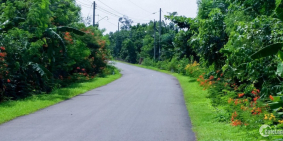 Ngay mặt tiền khu trung thành nam, X.hàm liêm, huyện hàm thuận bắc, bình th